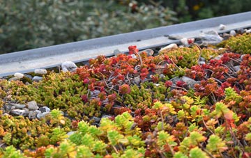 the cost of Cringletie green roof installation